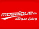 msqfm