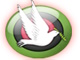 salamtv