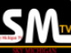 skymichigantv